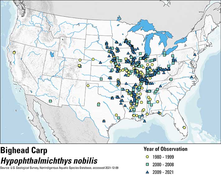 Map of the United States depicting bighead carp occurence from 1980 to 2021. Observations are shown in three groups of time with a yellow circle for 1980-1999, a green square for 2000-2008 and a blue triangle for 2009-2021. The majority of occurrences across the entire range of time are in the Missouri River, Ohio River and Mississippi River basins in the central U.S.