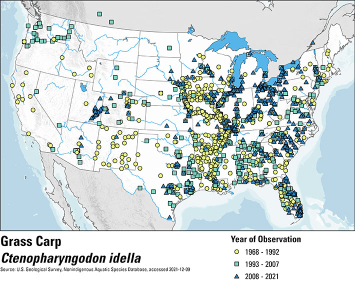 Map of the United States depicting grass carp occurence from 1968 to 2021. Observations are shown in three groups of time with a yellow circle for 1968-1992, a green square for 1993-2007 and a blue triangle for 2008-2021. The majority of occurrences across the entire range of time are located in the midwest and Eastern United States with some occurances in the west mainly between 1968 and 2007.