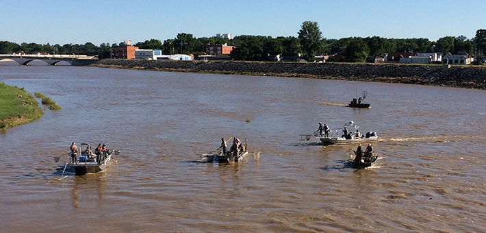 Crews of fisheries biologists in motorboats on a river.