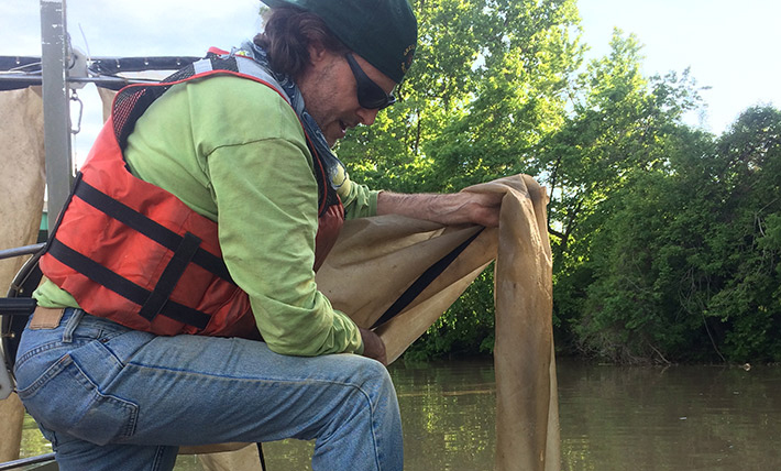 Biologist collecting larva samples using bongo net.